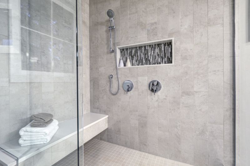 Contemporary Shower Designs